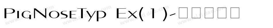 PigNoseTyp Ex(1)字体转换